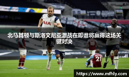 北马其顿与斯洛文尼亚激战在即谁将赢得这场关键对决