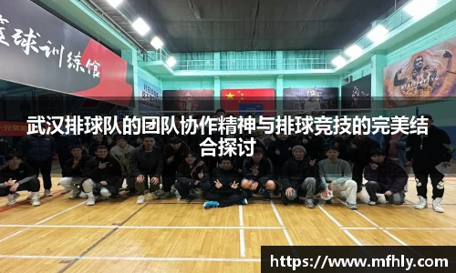 武汉排球队的团队协作精神与排球竞技的完美结合探讨